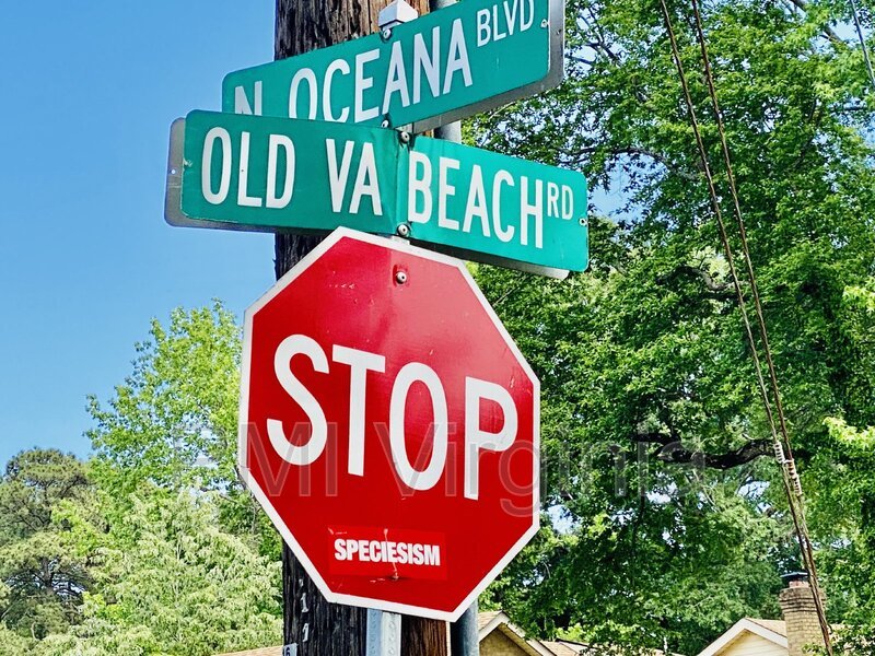 2 BEDROOM 1 BATH DUPLEX IN VIRGINIA BEACH NEAR OCEANA property image