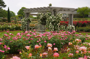 Things To Check Out This Spring In Norfolk
